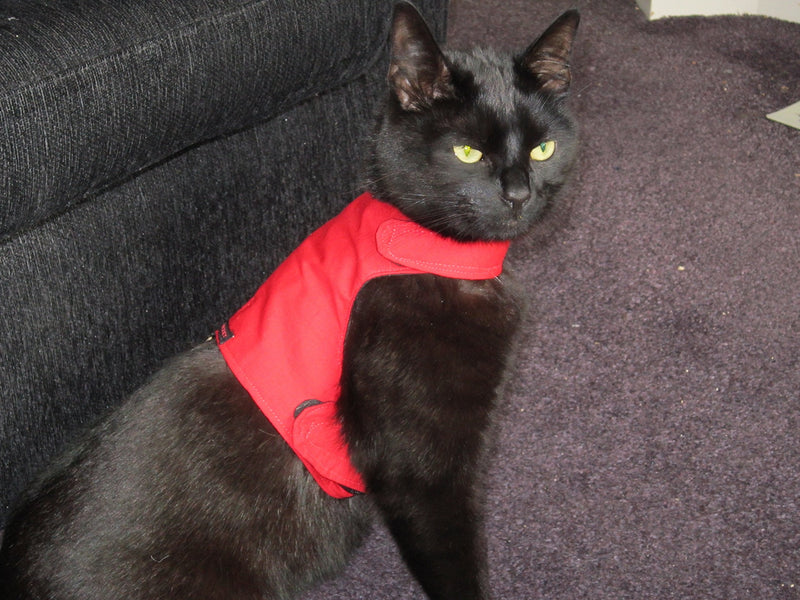Mynwood Cat Jacket/Harness Red Adult Cat - PawsPlanet Australia