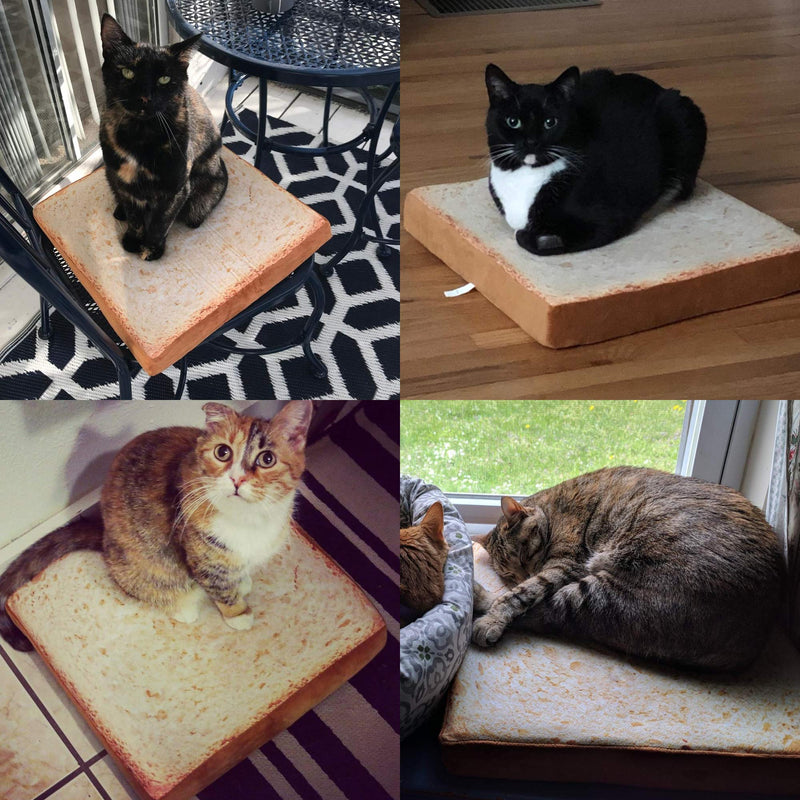 Gefryco Cat Beds for Indoor Cats, Pet Mats Cushion for Cat and Small Dogs Creative Toast Bread Slice Mattress (Sponge Core) - PawsPlanet Australia