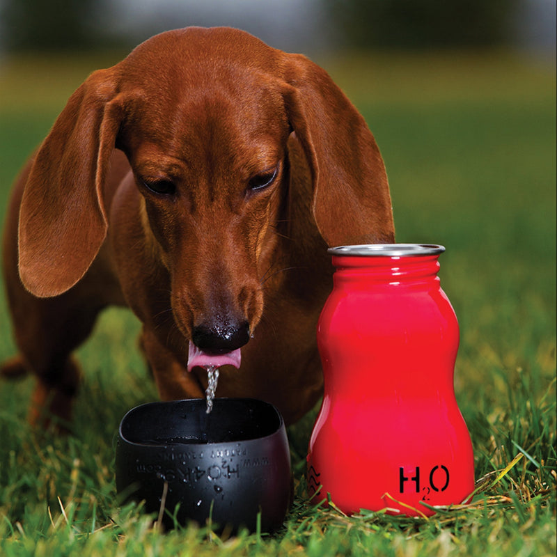 H2O4K9 Dog Drinking Bottle, Denim Blue 9.5oz - PawsPlanet Australia