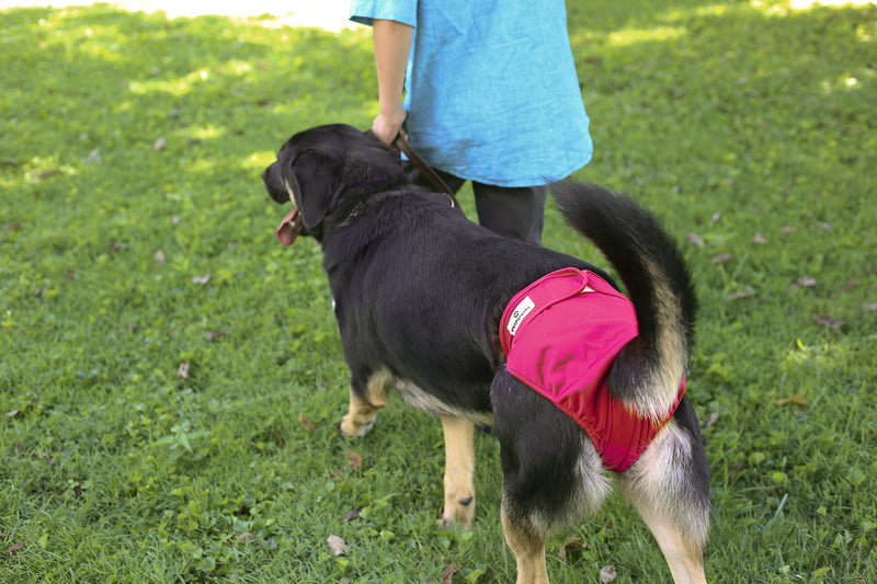 [Australia] - Pet Parents Washable Dog Diapers (3pack) of Durable Doggie Diapers, Premium Female Dog Diapers Large Princess 