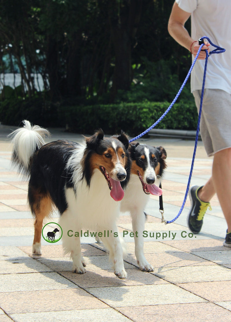 [Australia] - Dual Dog Leash, Double Dog Leash,360° Swivel No Tangle Double Dog Walking & Training Leash, Comfortable, Reflective Stitching for Two Dogs, Blueby Caldwell's Pet Supply Co. 