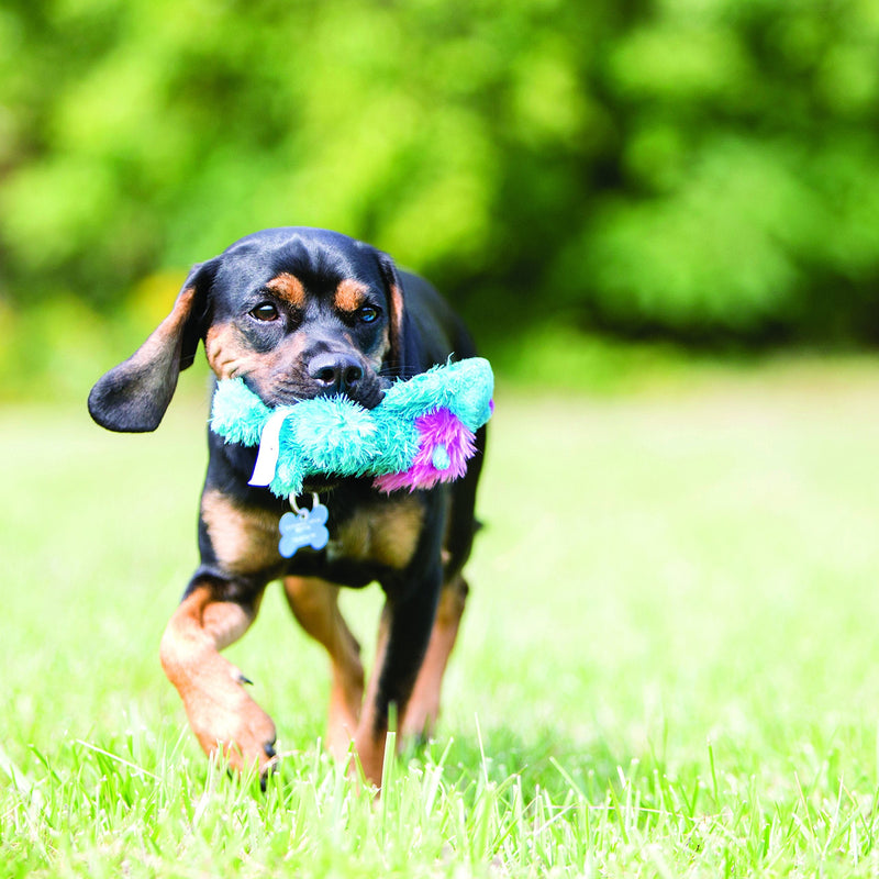 KONG Cozie Ali the Alligator Medium Dog Toy, Green M (Pack of 1) - PawsPlanet Australia