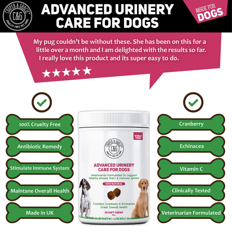 C&G Pets | DOG URINARY HEALTH SUPPLEMENTS 60 SOFT CHEWS | ANTIBIOTIC REMEDY | STIMULATES IMMUNE SYSTEM & MAINTAINS OVERALL HEALTH | CRANBERRY & ECHINACEA | WHEAT FREE | VETERINARIAN FORMULATED Dog Urinary Care - PawsPlanet Australia