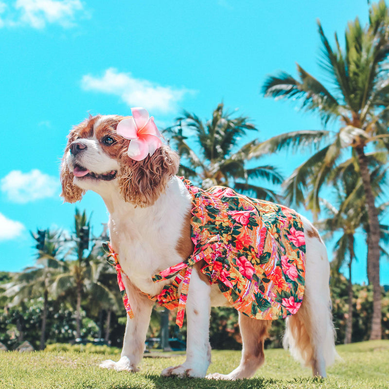 Parisian Pet Dog Summer Camp Hawaiian Flower Tropical Dress, XS Hawaiian Dress - PawsPlanet Australia