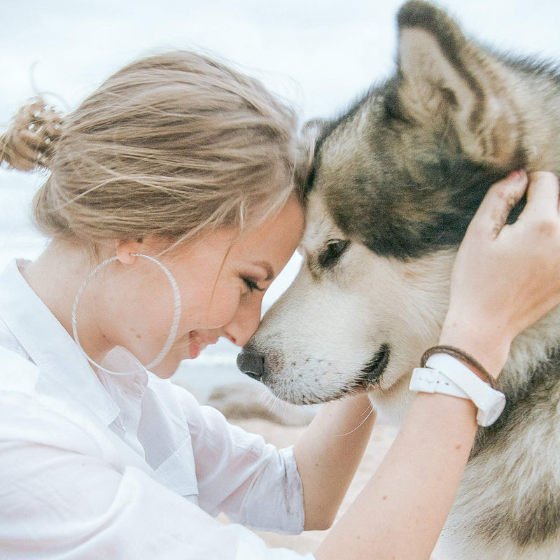 MEMGIFT Dog Memorial Bracelet for Women Girls Remembrance Sympathy Memory Loss of Beloved Pets Jewelry Gifts for Pet Cats Dogs Mom Lovers Stainless Steel Dog Paw Personalized Name Cuff Bangle Abby - PawsPlanet Australia