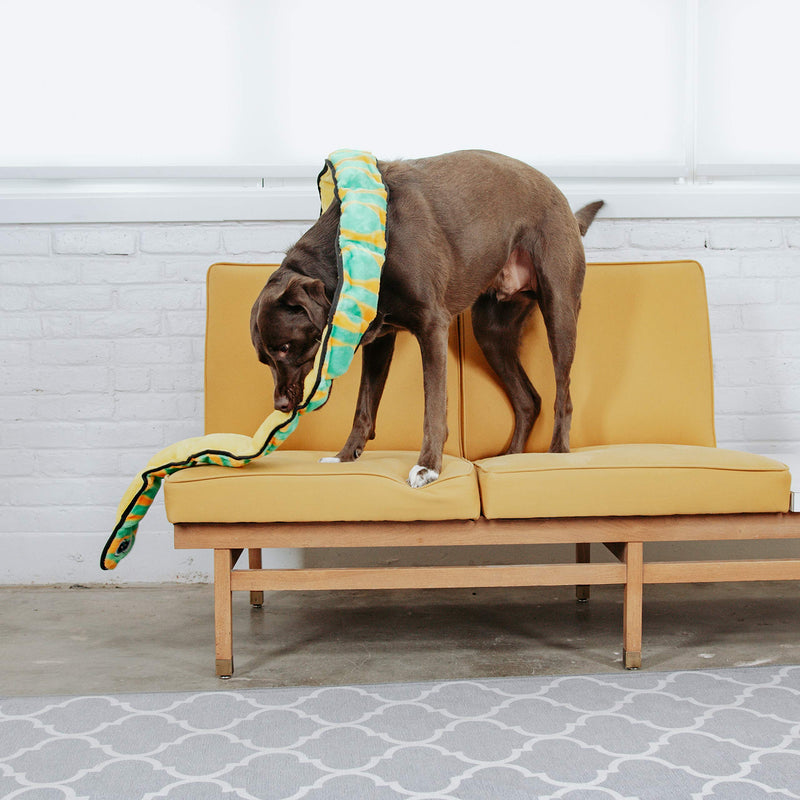 [Australia] - Outward Hound Invincibles Snake XXL Green 