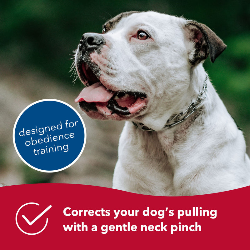 Herm SPRENGER Ultra-Plus Prong Dog Training Collar, 2.25 mm x 14" Neck Size, 2.25 mm x 16" Chain Length, Steel Chrome Plated Dog Prong Collar, Pinch Collar for Dogs, Dog Correction Collar - PawsPlanet Australia