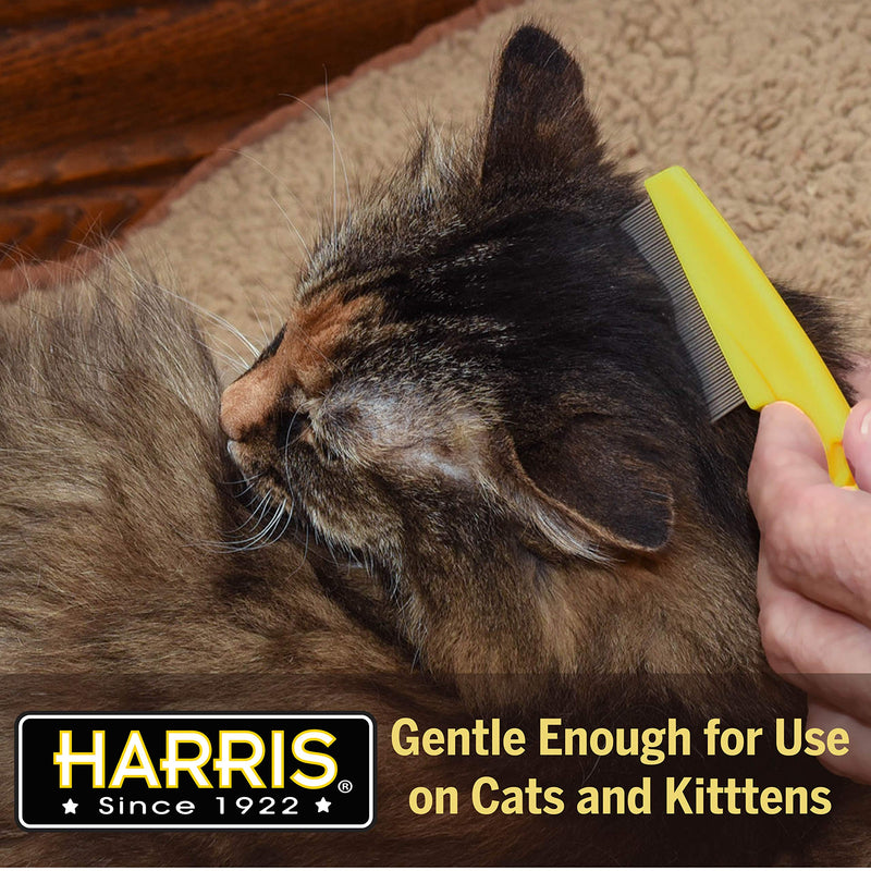 Harris Flea Comb- Flea, Nit and Lice Removal for Cats and Dogs - PawsPlanet Australia