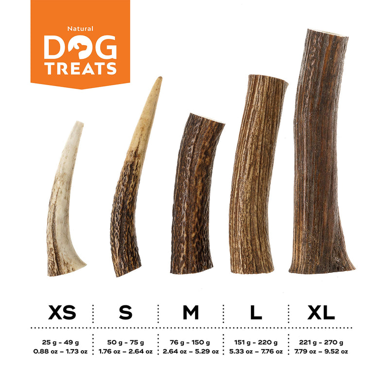 Premium 100% Natural Deer Antler Dog Chew Long Lasting Toy for Dogs, Size Small Antler S (50 - 75 g) - PawsPlanet Australia