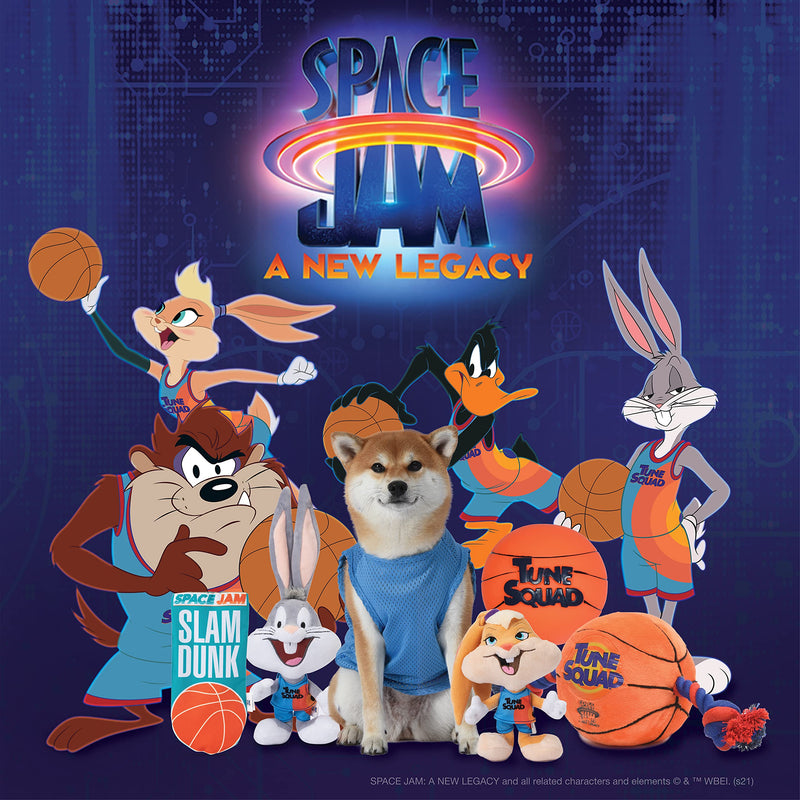 LOONEY TUNES Space Jam 2 Tune Squad Toys, Basketball Dog Toys, Dog Balls, Dog Toy Balls, Dog Rope Toy, Dog Squeak Toys from Looney Tunes Space Jam 2 - Warner Bros Dog Toys - Looney Tunes Toys Basketball Rope - PawsPlanet Australia