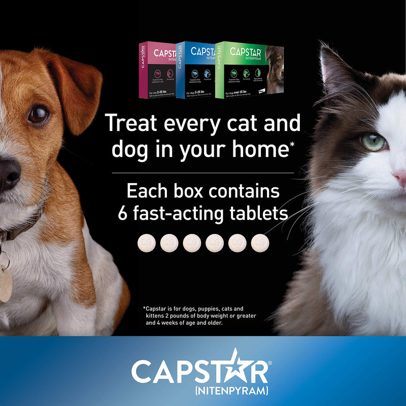 Capstar Fast-Acting Oral Flea Treatment for Dogs Small Dogs, 2-25 lbs - PawsPlanet Australia