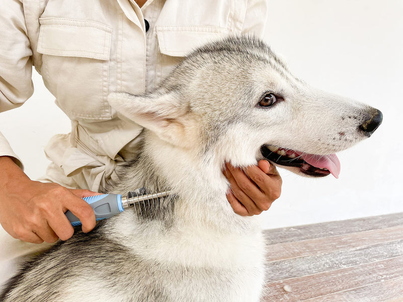 Tuff Pupper Dematting Tool For Dogs & Cats – Our Matting Comb For Dogs Easily & Safely Remove Dead, Matted Or Knotted Hair | Ergonomic, No-Slip Safety Handle Provides Precision Control And Leverage Against The Toughest Knots Dematting Comb - PawsPlanet Australia