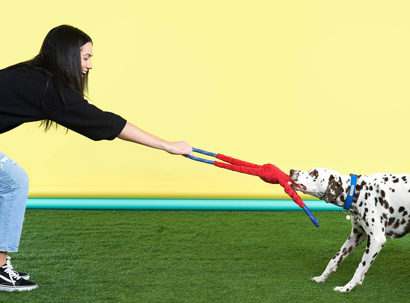 [Australia] - ZippyPaws - Monkey RopeTugz, Squeaky and Plush Rope Tug Dog Toy Green 