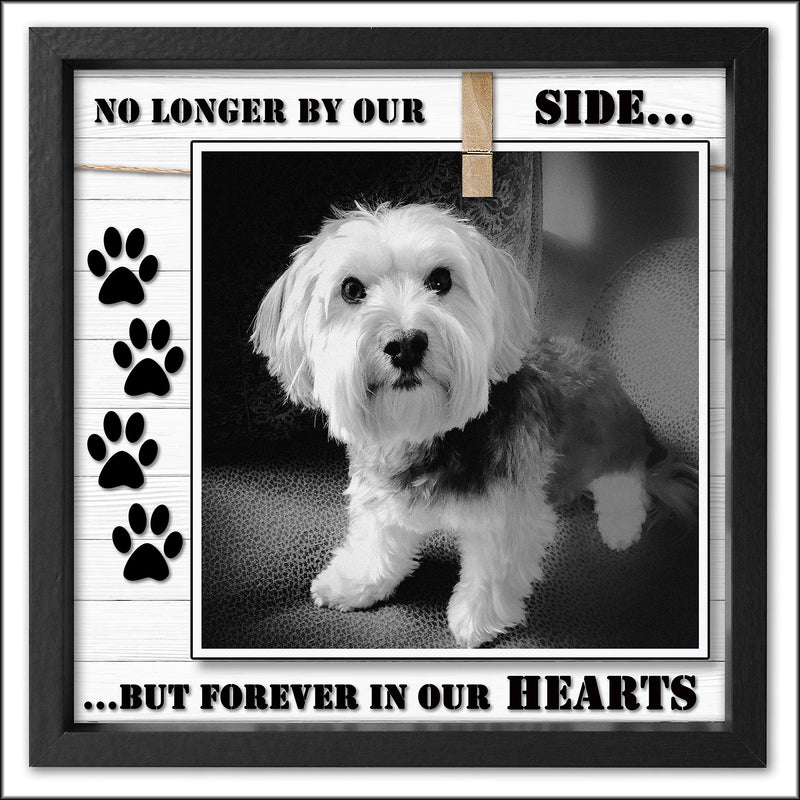 [Australia] - Pet Memorial Picture Frame for Dog or Cat. Clever Design to fit 4x6 - 5x7. Loss of Dog or Cat Sympathy Photo Frame with Clip. Text "Forever in Our Hearts”. Black Wood Frame 10”x10” 