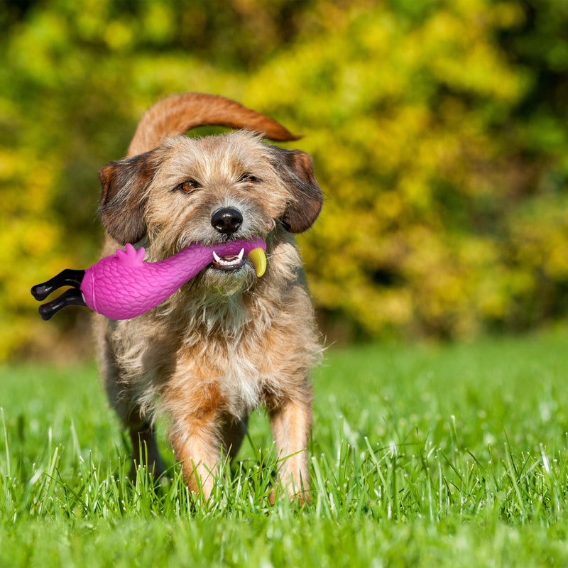 Relaxdays Flamingo Dog Toy 3 Pack Squeaky Puppy Small & Medium Dogs PVC Squeaky Toy Pink - PawsPlanet Australia