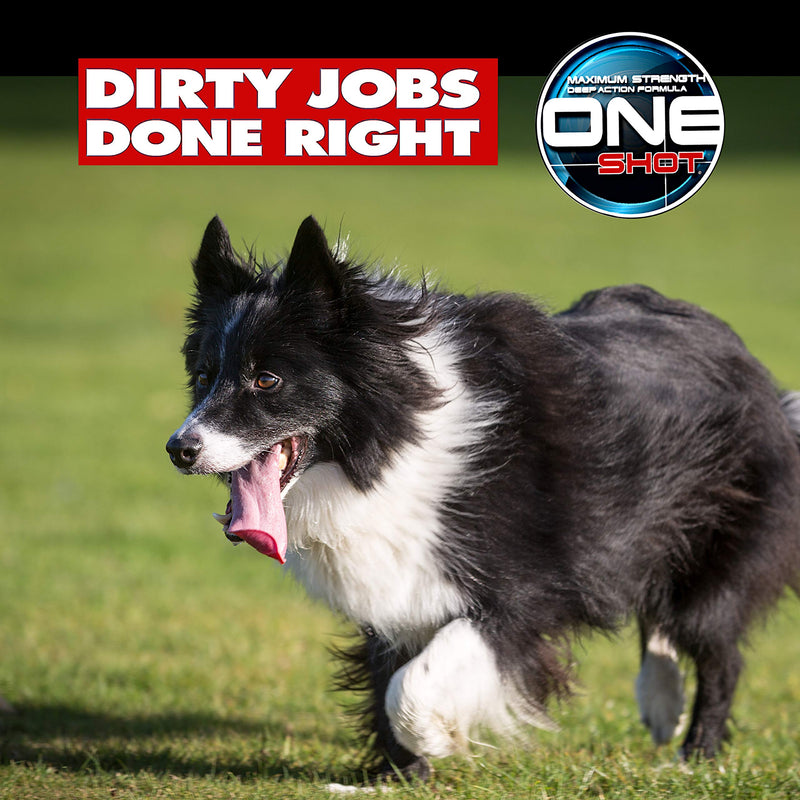 Best Shot Dry Clean Pet Spray 16 oz - PawsPlanet Australia