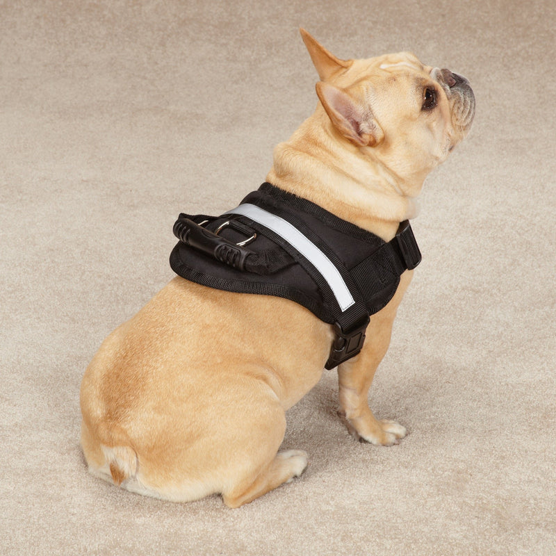 [Australia] - Guardian Gear Excursion Pet Harness Small 