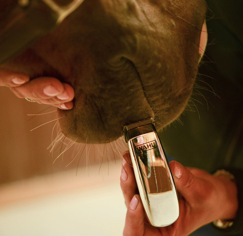 Wahl, Equine Super Pocket Pro Trimmer - PawsPlanet Australia