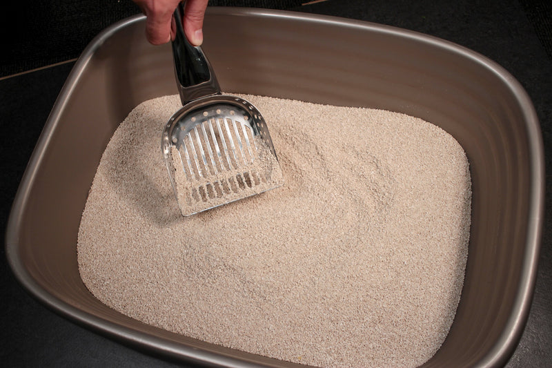 [Australia] - RSVP Endurance Stainless Steel Kitty Litter Scoop 