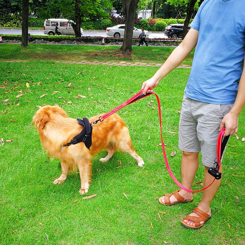 [Australia] - DOGSAYS Dog Leash 6ft Long - Traffic Padded Two Handle - Heavy Duty - Double Handles Lead for Training Control - 2 Handle Leashes for Large Dogs or Medium Dogs - Reflective Pet Leash Dual Handle Red 