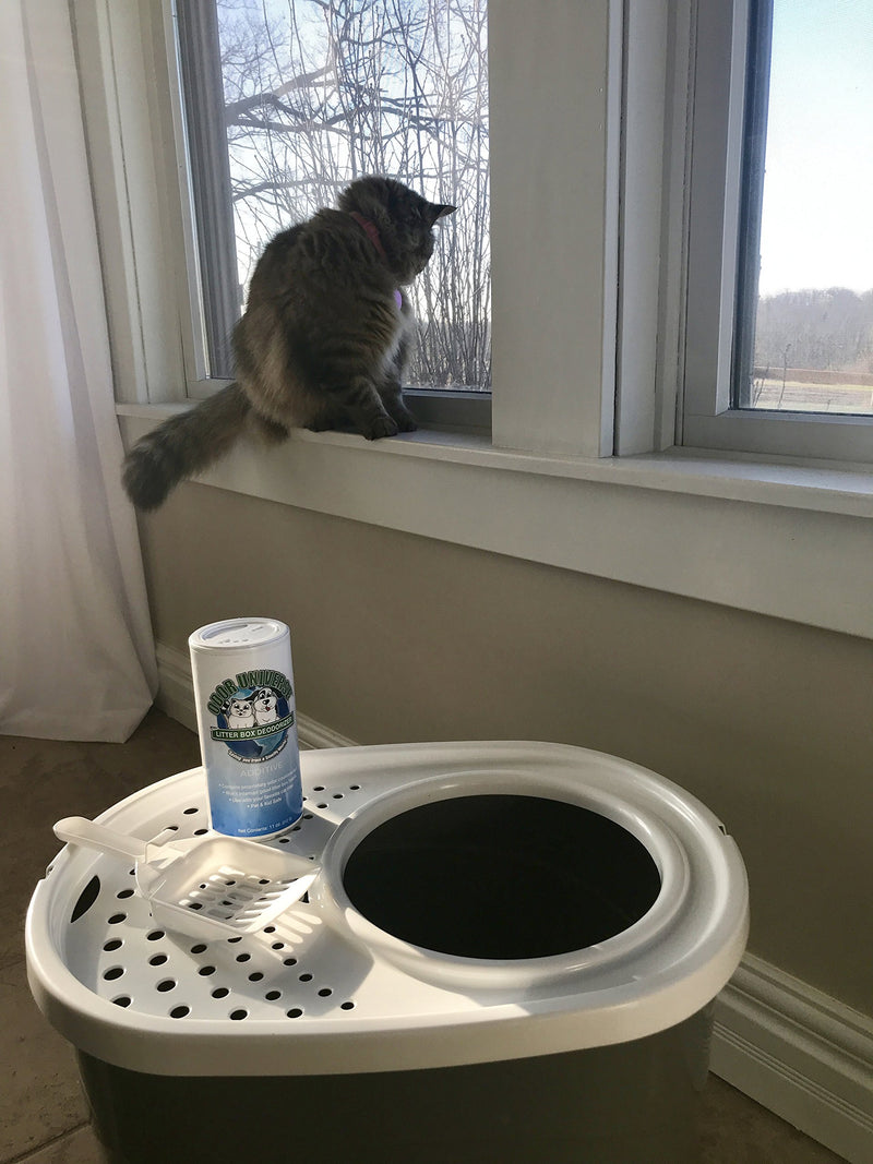 [Australia] - Odor Universe Litter Box Deodorizer Professional Strength Kitty Litter Odor Control and Odor Destroying Powder Non-Toxic and Biodegradable Order Eliminating Granules 11 oz. 