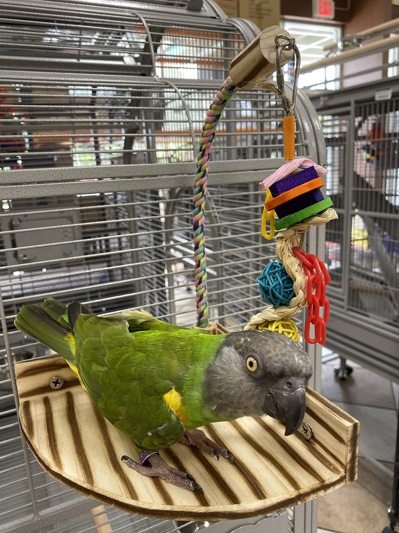 Birds LOVE TigerTail Play Gym Tabletop w Cup, Toy Hanger and Free Parrot Toy Included! - Choose Style and Size Small - Corner Cage Playgym - PawsPlanet Australia