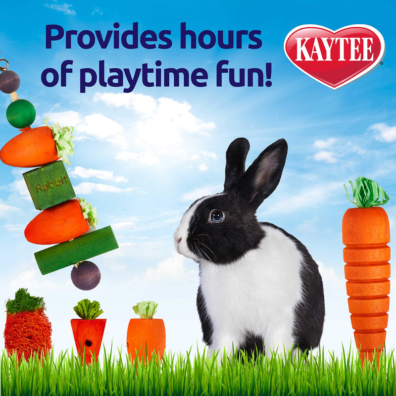 [Australia] - Kaytee Chew & Treat Toy Assortment for Rabbits (5 Pack) - 100524756 