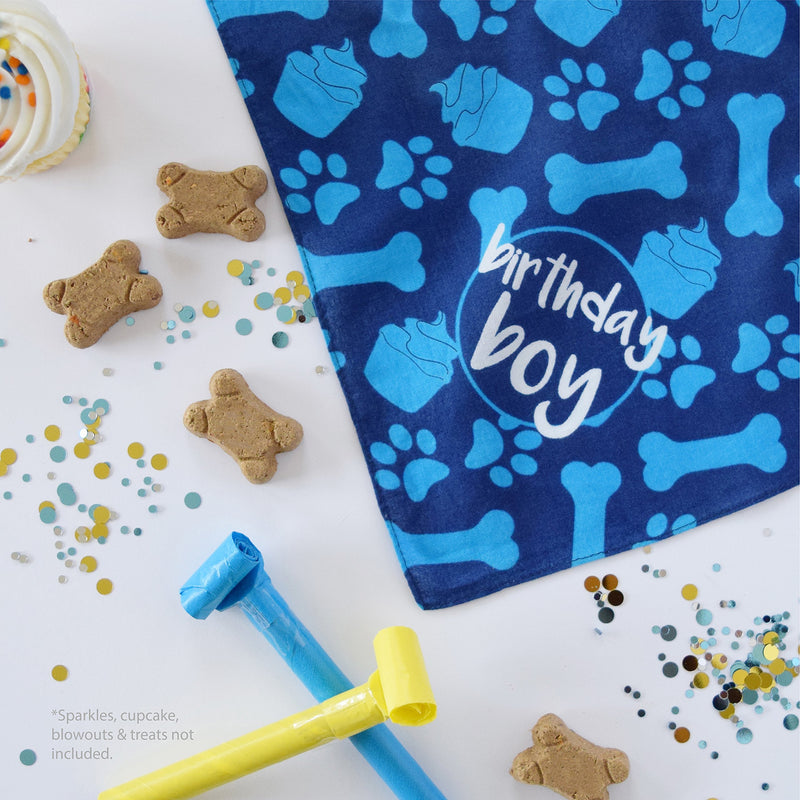 [Australia] - hecho Dog Birthday Bandana - Boy 