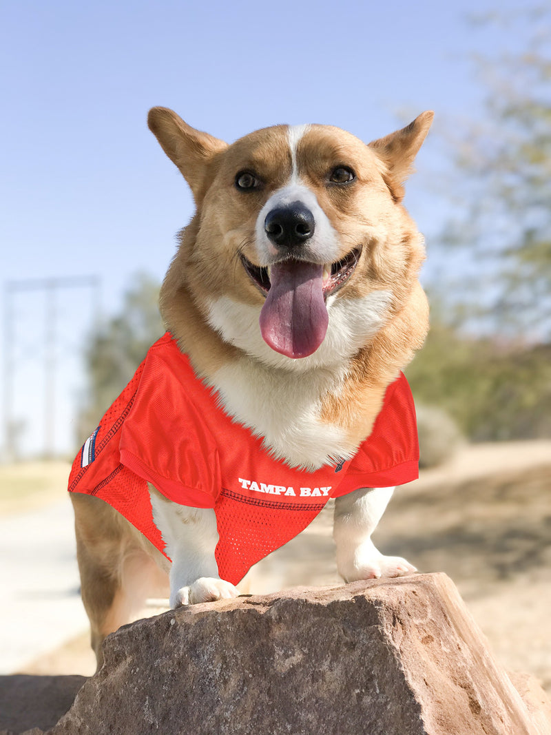 [Australia] - NFL PET Jersey. Most Comfortable Football Licensed Dog Jersey. 32 NFL Teams Available in 7 Sizes. Football Jersey for Dogs, Cats & Animals. - Sports Mesh Jersey. Dog Outfit Shirt Apparel Tampa Bay Buccaneers Small 
