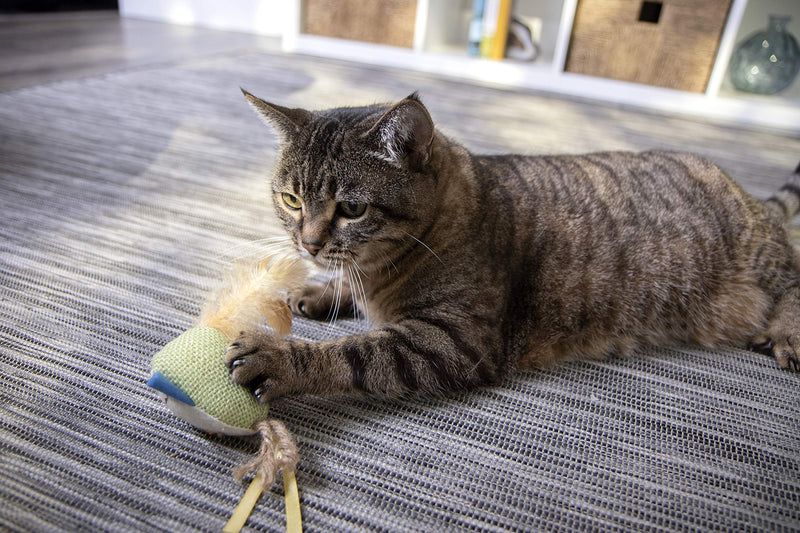 [Australia] - Petlinks System Sweet Tweet Cat Toy Medium 