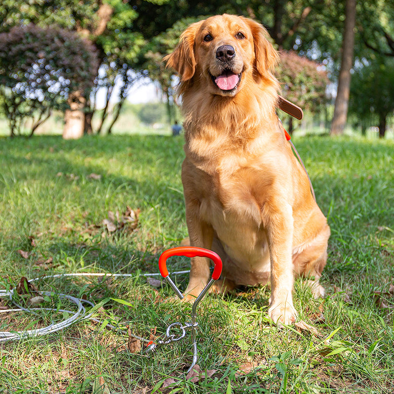 [Australia] - DCSUIT Dog Tie Out Cable and Stake - 20 FT Long Rope Leash Heavy Duty Easy Control for Playing/Training in The Yard/Camping/Garden/Traveling Outdoor - Suit for Small,Medium,Large Dogs 