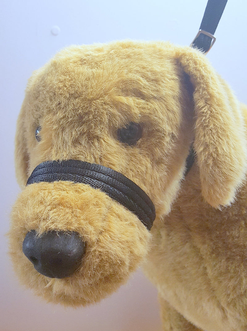 Tufftex Figure Of Eight Airweb Cushion Figure of Eight Headcollar Lead,Halter 3 Meter Clip to collar (Black) Black - PawsPlanet Australia