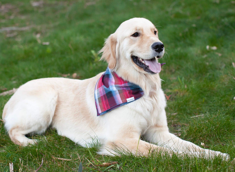 [Australia] - Willowear Plaid Dog Bandanas with Lurex Shimmer Medium Cassidy Shimmer 