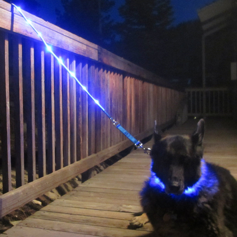 Blazin' Safety LED Dog Lead - USB Rechargeable Flashing Light Leash, 4 Ft, Water Resistant – Lightweight (S, Blue) - PawsPlanet Australia