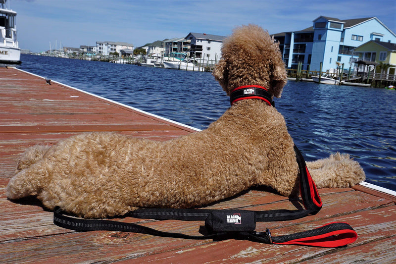 Black Rhino Dog Leash - Heavy Duty - Medium & Large Dogs | 6ft Long Leashes | Two Traffic Padded Comfort Handles for Safety Control Training - Double Handle Reflective Lead - (Red) Red - PawsPlanet Australia