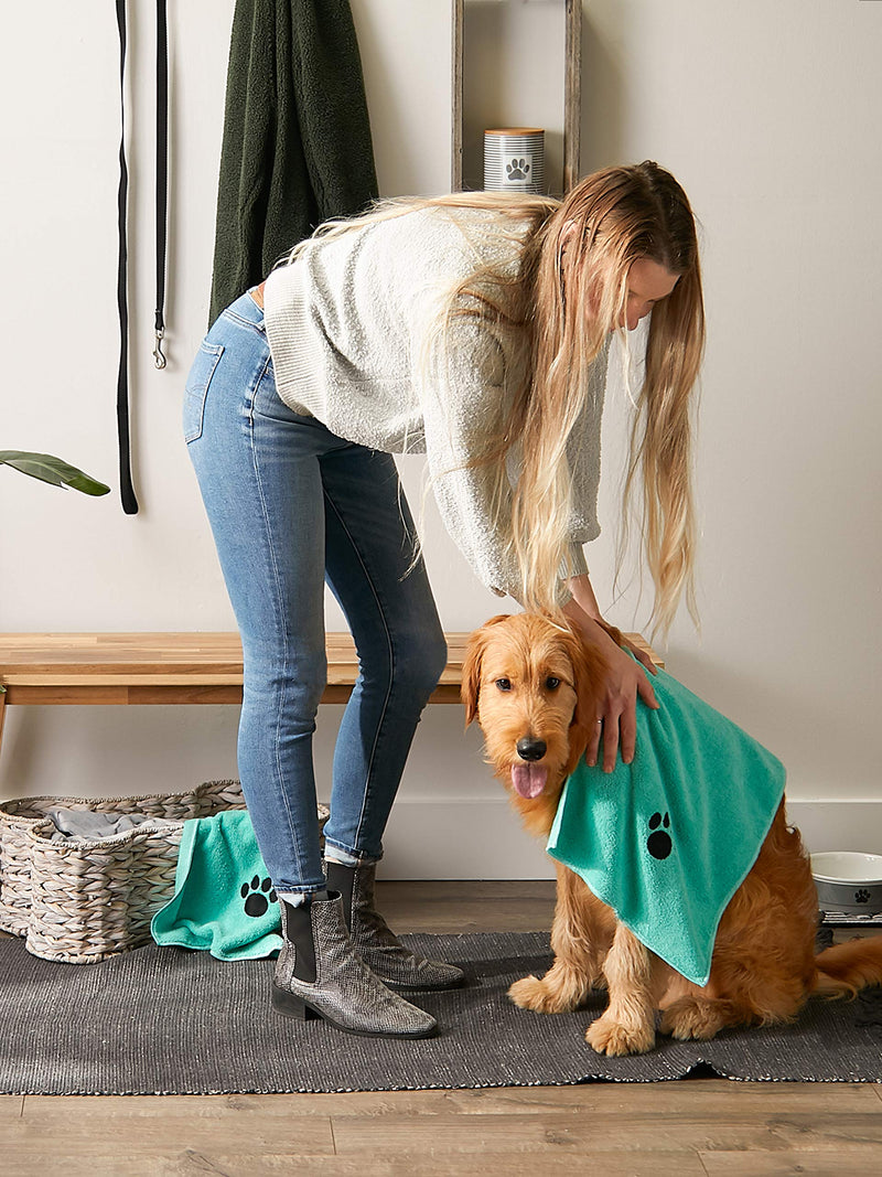 Bone Dry Pet Drying Collection Embroidered Terry Microfiber Towel Aqua Pet Towel Small Set, 15x30" - PawsPlanet Australia