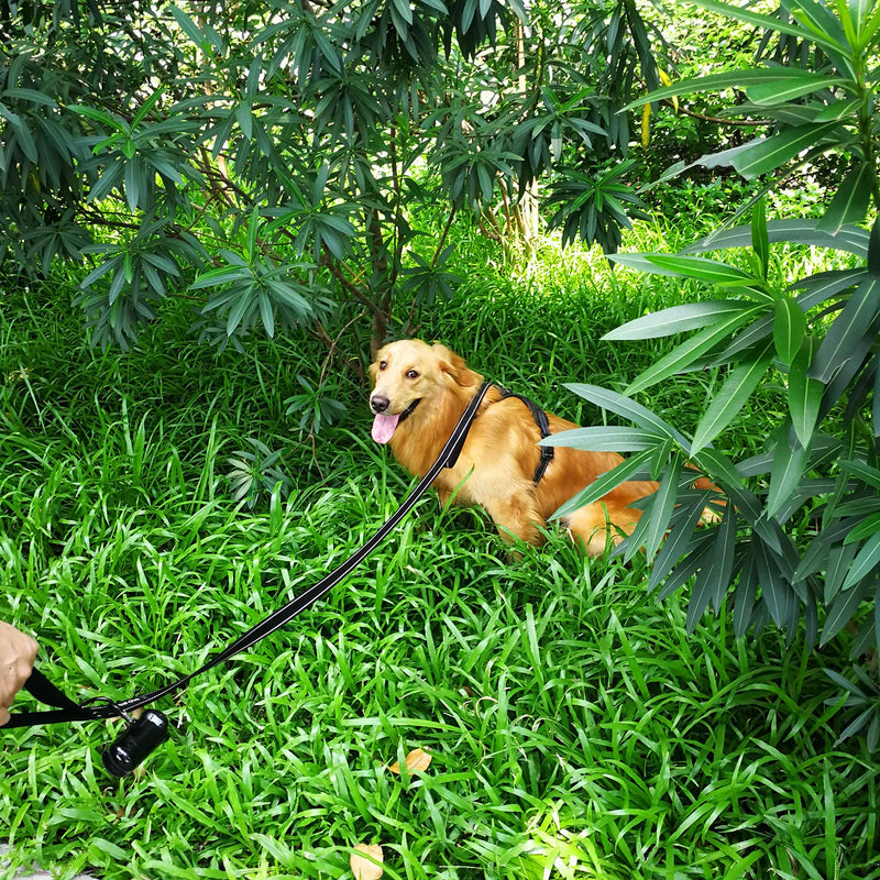 Dog Leash 6ft Long Traffic Padded Two Handle Heavy Duty Double Handles Lead for Training Control 2 Handle Leashes for Large Dogs or Medium Dogs Reflective Pet Leash Dual Handle 6 Foot (Pack of 1) Black + Green - PawsPlanet Australia