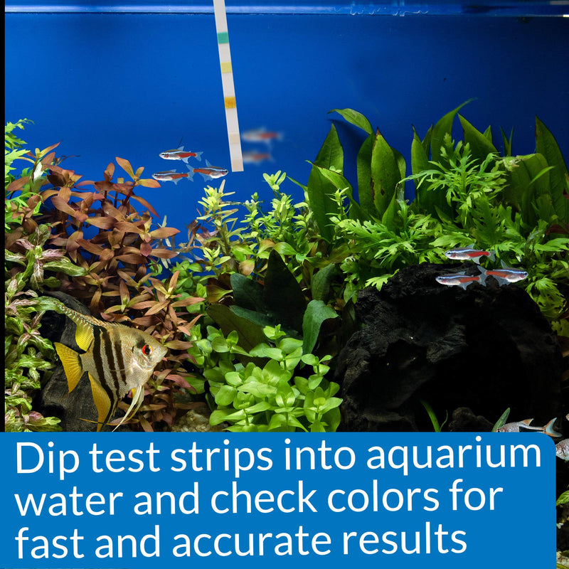 [Australia] - API Test Strips, for Variety of Water Parameters, Monitor Aquarium Water Quality and Help Prevent Invisible Water Problems That can be Harmful to Fish, Use Weekly and When Problems Appear 25-Count Aquarium Water Testing 