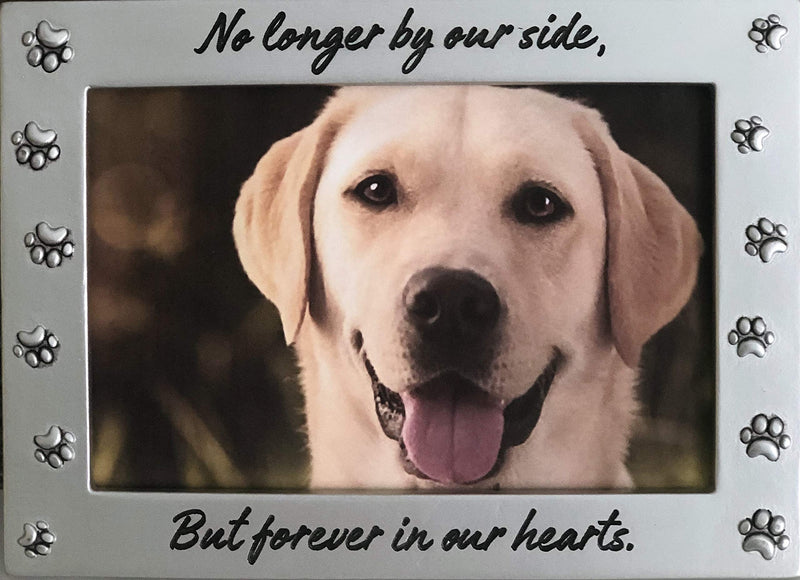 [Australia] - NewLifeLandia Pet Memorial Picture Frame Keepsake for Dog or Cat, Perfect Loss of Pet Gift for Remembrance and Healing 