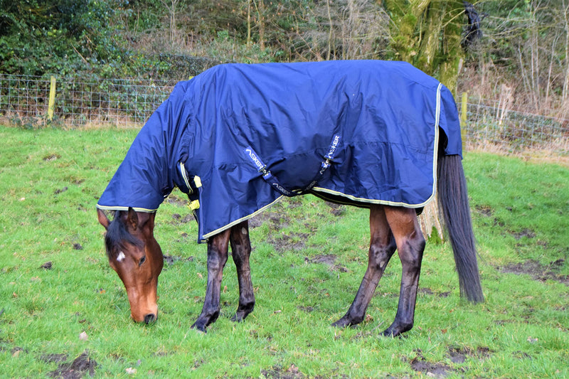 Asker 0g Horse Lightweight Standard Neck Turnout Rug - Navy Blue 4ft 6in - PawsPlanet Australia