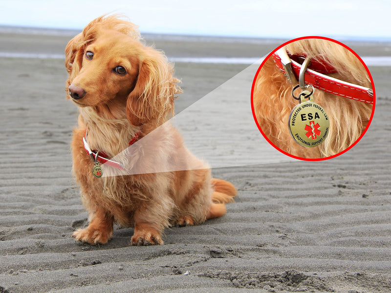K9King Double Sided Emotional Support Animal ESA Red Medical Alert Symbol and Protected by Federal Law ID Tag Small Breeds - 0.999" Diameter - PawsPlanet Australia