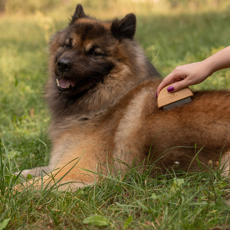 Golden Pets Bamboo Flea Comb I Lice Comb & Nits Comb I Against Fleas, Lice on Dogs & Cats I Ideal after Flea Shampoo I + Free Care Manual - PawsPlanet Australia