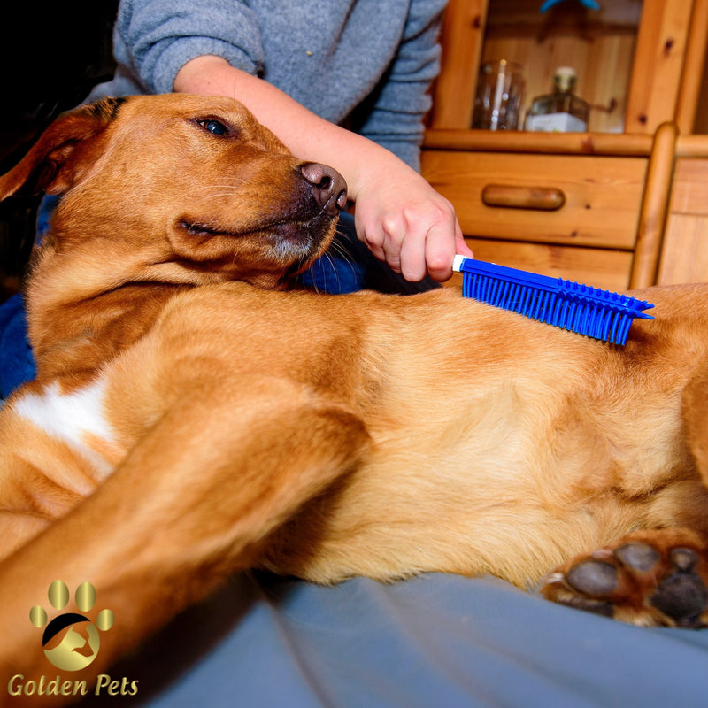 Golden Pets special brush I animal hair remover, dog brush, cat brush I for vehicle upholstery and textile surfaces I gentle massage effect for dogs and cats I + free e-book care manual - PawsPlanet Australia