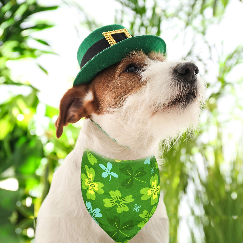 St. Patrick Dog Cat Bandana, Holiday 2 Pack Bandana Irish Rainbow Shamrock Scarfs for Small Medium Large Dogs Cats Pet Puppies (The Lucky One, Small) The Lucky One - PawsPlanet Australia