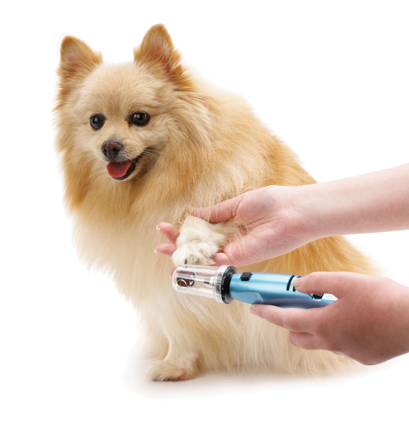 [Australia] - Oster Gentle Paws Less Stress Dog and Cat Nail Grinder, 2 Speed (078129-600-000) 
