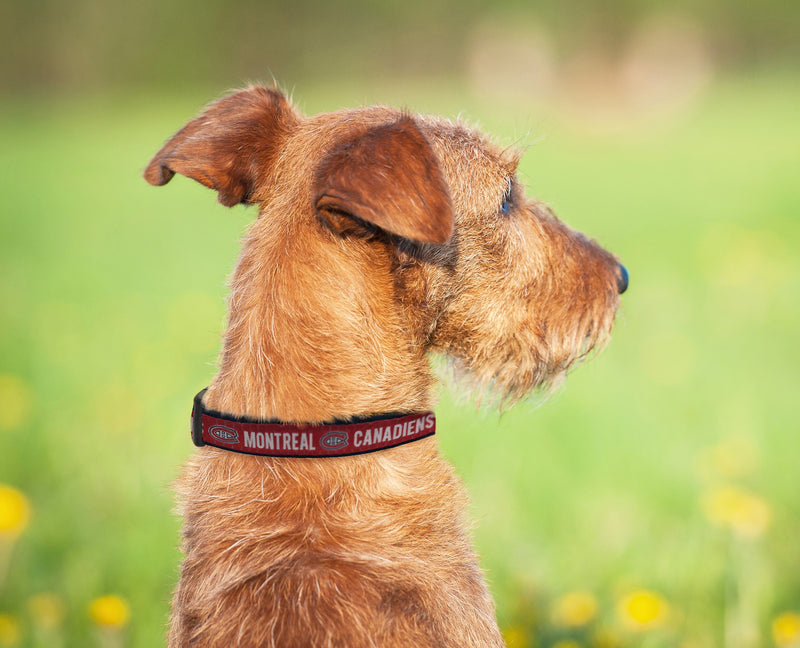 [Australia] - Pets First NHL Montreal Canadiens Collar for Dogs & Cats, Large. - Adjustable, Cute & Stylish! The Ultimate Hockey Fan Collar! 