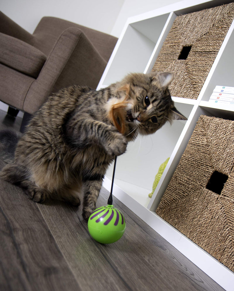 [Australia] - SmartyKat Feather Whirl Electronic Motion Cat Toy, As Seen On TV (9621), green 