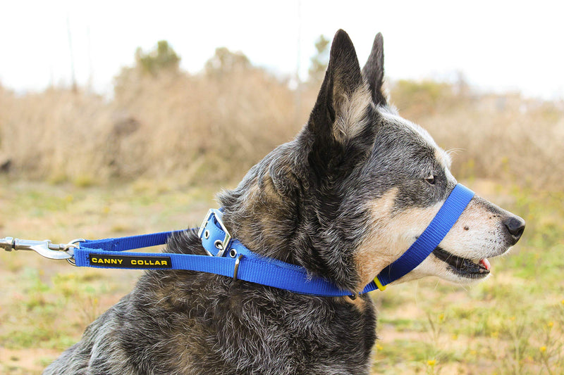Canny Collar - The Collar for Dog Training and Walking, Helps with Dog Training and Helps to Stop Dogs Pulling on The Leash Size 4 - (15 Inch - 17 Inch neck size) Blue - PawsPlanet Australia