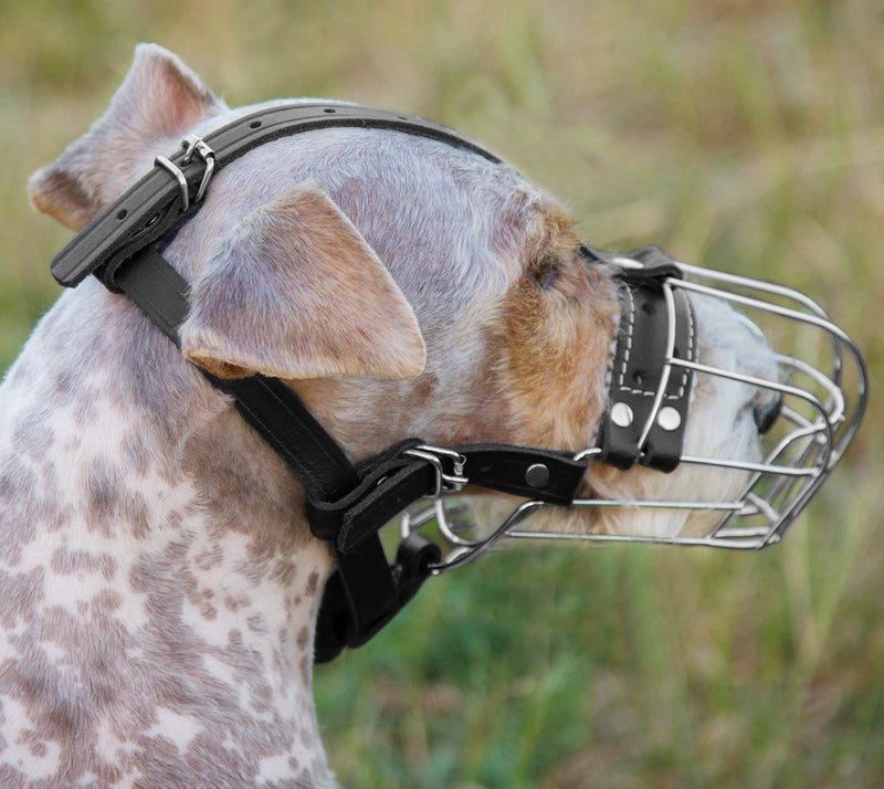 [Australia] - PetriStor Dog Chrome Metal Muzzles Wire Basket Adjustable Leather Straps №3 
