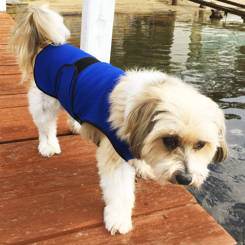 [Australia] - DOGZSTUFF Dog Cooling Vest. Lightweight Jacket with Evaporative Cool Microfiber Technology, UV Protection Shirt, Sizing for Small, Medium and Large Dogs Rose Red 